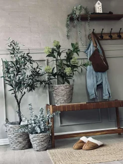 VIAMAJA Plantekurve – Sæt med 3 størrelser Outlet