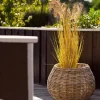VIAMAJA Plantekurve i natur rattan - 2 stk Outlet