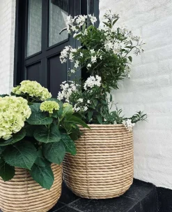 VIAMAJA Plantekurve RATTAN BIG - Sæt med 3 størrelser