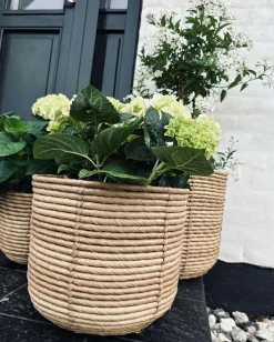 VIAMAJA Plantekurve RATTAN BIG - Sæt med 3 størrelser