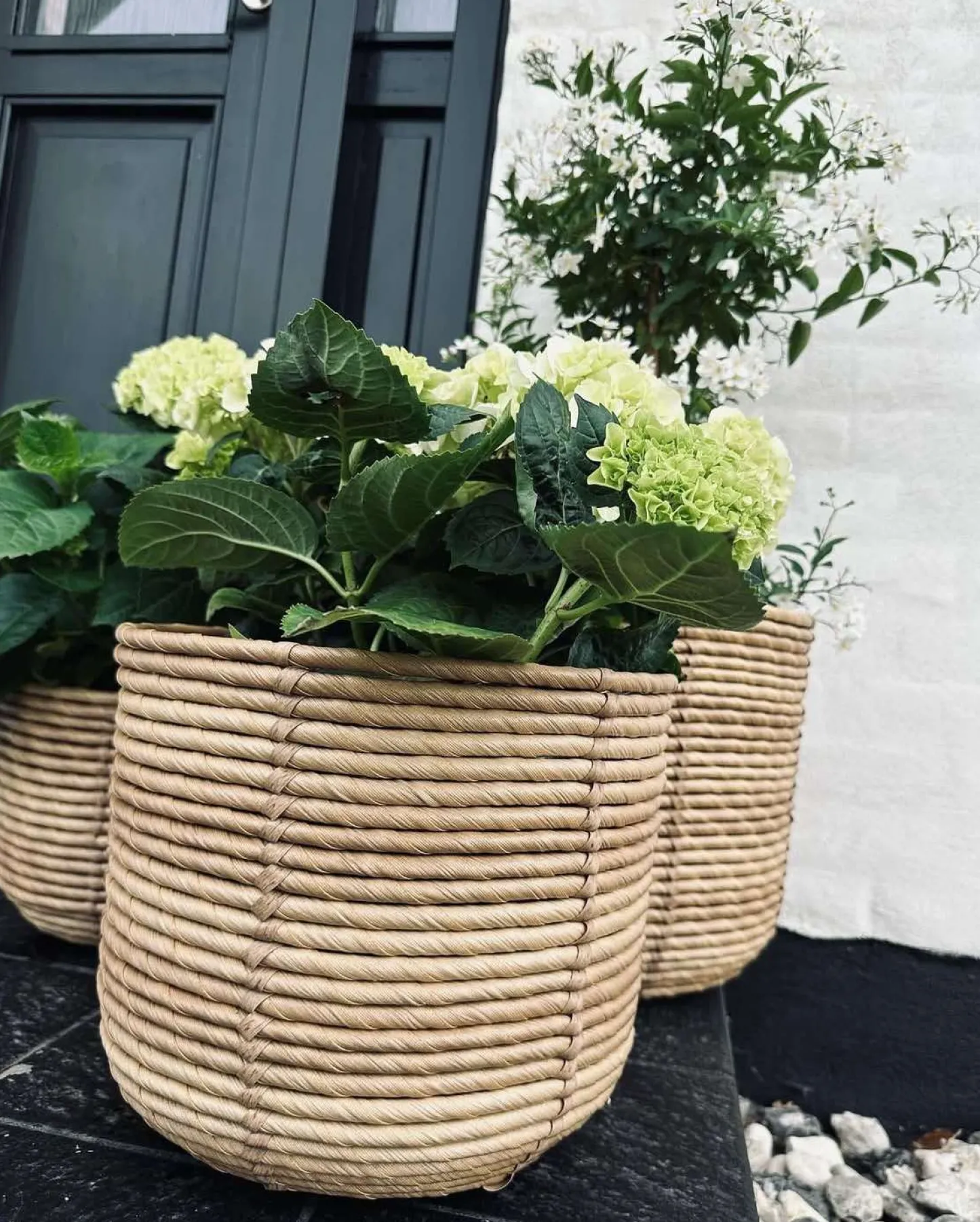 VIAMAJA Plantekurve RATTAN BIG - Sæt med 3 størrelser