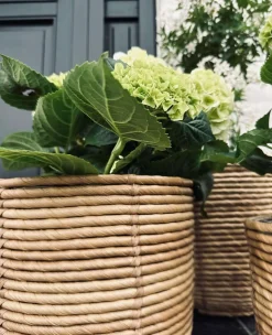 VIAMAJA Plantekurve RATTAN BIG - Sæt med 3 størrelser