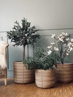 VIAMAJA Plantekurve RATTAN BIG - Sæt med 3 størrelser