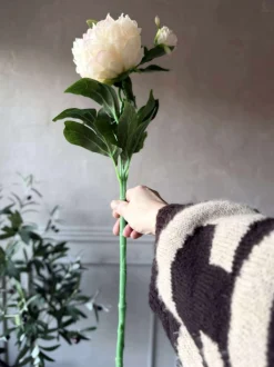 VIAMAJA Pæon 60 cm - Flere farver Outlet