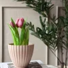 VIAMAJA Potte i beton look - Lille Rosa Discount