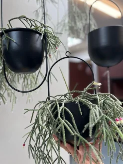 VIAMAJA Potte med krog - Black New