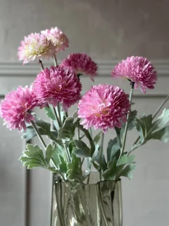 VIAMAJA Prydløg stilk 60 cm - Rosa