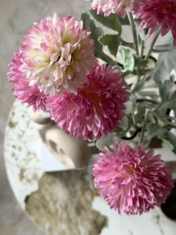 VIAMAJA Prydløg stilk 60 cm - Rosa