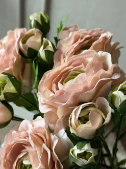 VIAMAJA Ranunkel 50cm - Rosa Discount