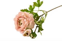 VIAMAJA Ranunkel 50cm - Rosa Discount