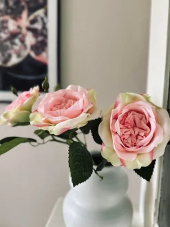 VIAMAJA Rose 45cm – Pink Hot
