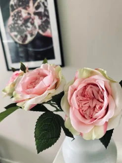 VIAMAJA Rose 45cm – Pink Hot
