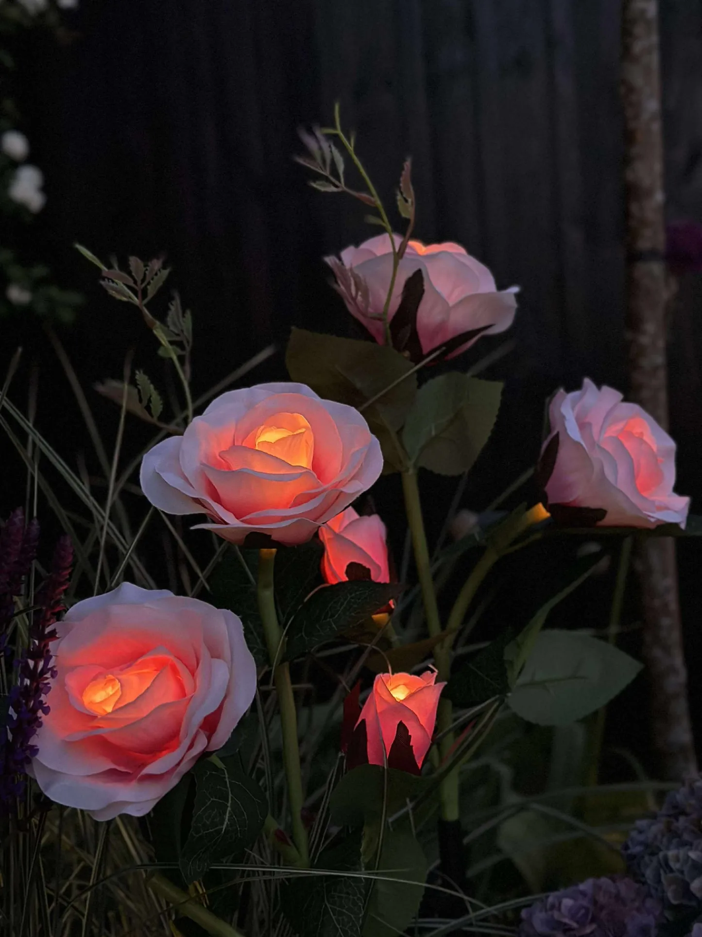 VIAMAJA Rose med solceller - Rosa Hot