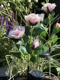 VIAMAJA Rose med solceller - Rosa Hot
