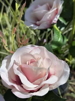 VIAMAJA Rose med solceller - Rosa Hot