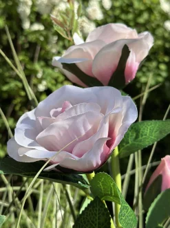 VIAMAJA Rose med solceller - Rosa Hot