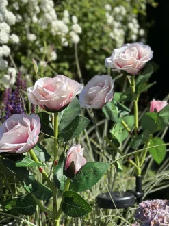 VIAMAJA Rose med solceller - Rosa Hot