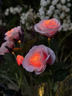 VIAMAJA Rose med solceller - Rosa Hot