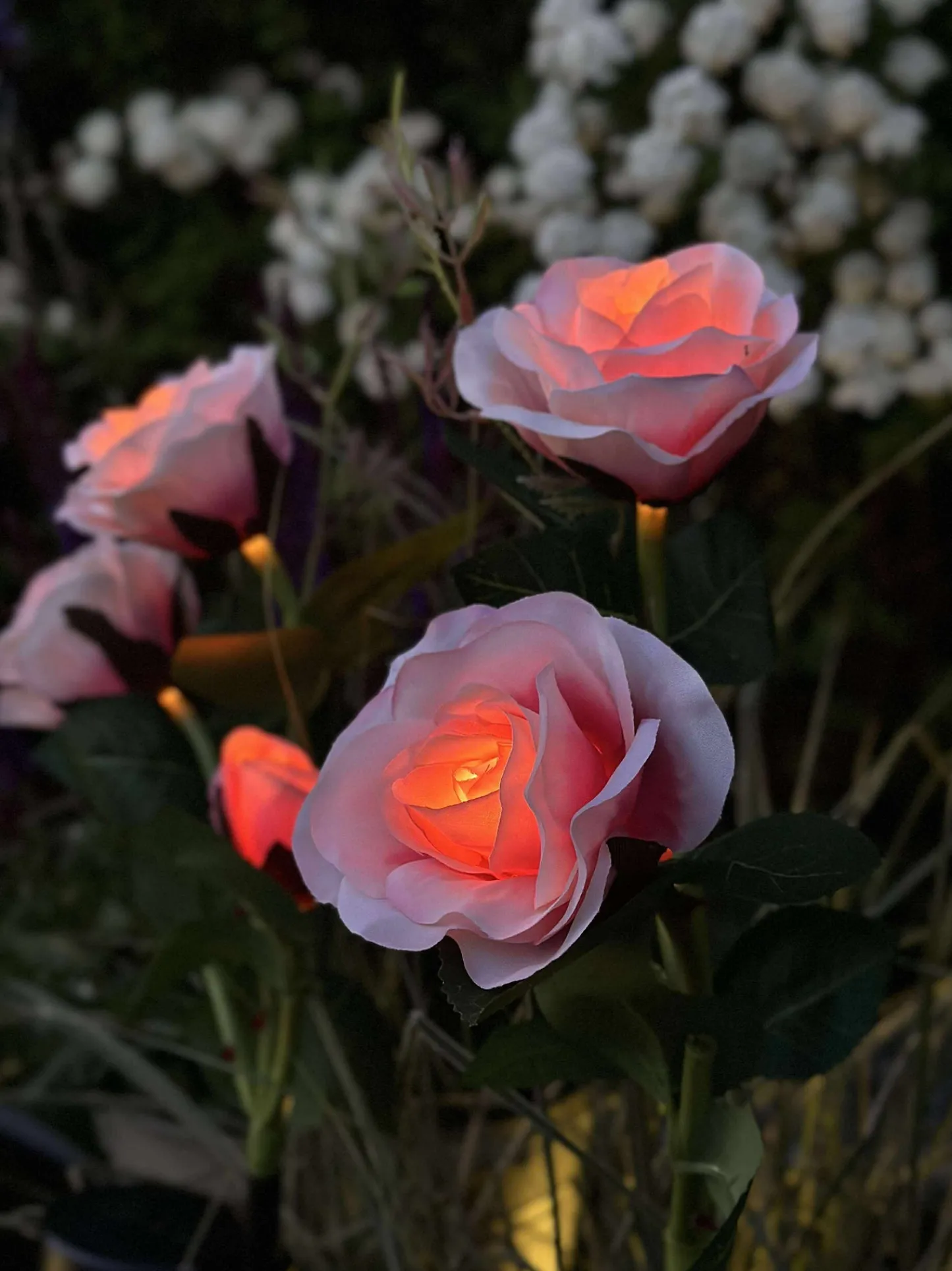 VIAMAJA Rose med solceller - Rosa Hot