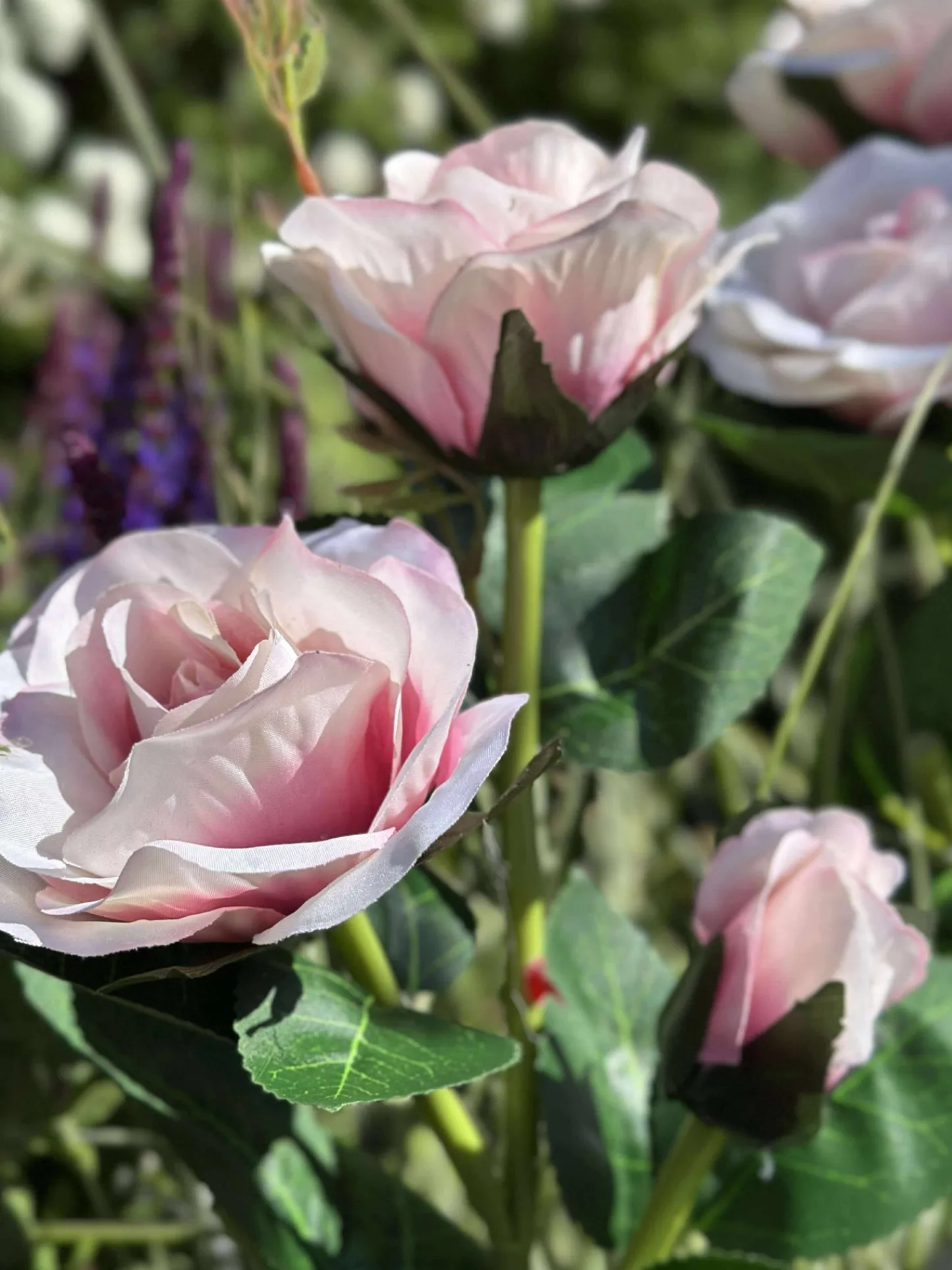 VIAMAJA Rose med solceller - Rosa Hot