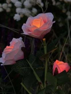 VIAMAJA Rose med solceller - Rosa Hot