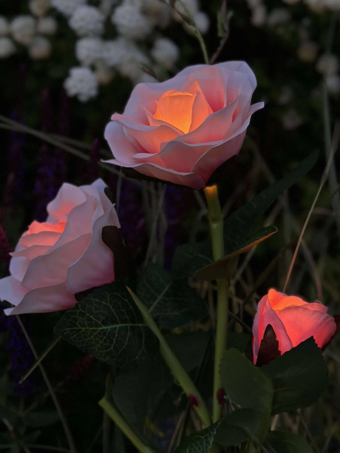 VIAMAJA Rose med solceller - Rosa Hot