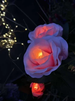 VIAMAJA Rose med solceller - Rosa Hot