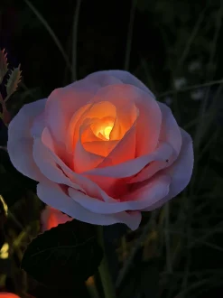 VIAMAJA Rose med solceller - Rosa Hot