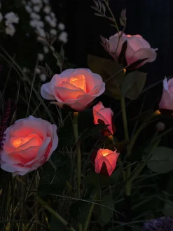 VIAMAJA Rose med solceller - Rosa Hot