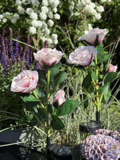 VIAMAJA Rose med solceller - Rosa Hot