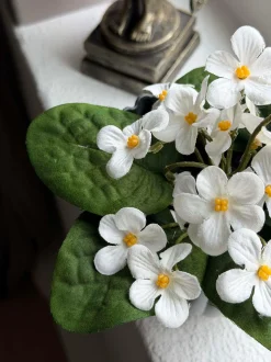 VIAMAJA Saintpaulia i potte - flere farver Clearance
