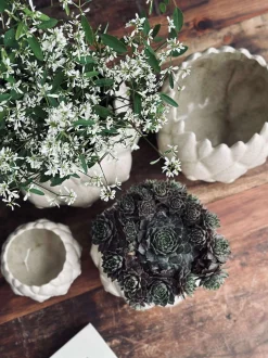 VIAMAJA Skjuler Hvid - Flere størrelser