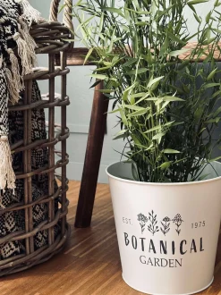 VIAMAJA Skjuler til blomster - Hvid Clearance