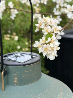 VIAMAJA Solar lampe med ophæng - Grøn / guld New