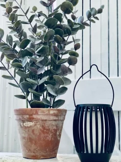 VIAMAJA Solcelle 3 i 1 model - Fakkel og lanterne Clearance