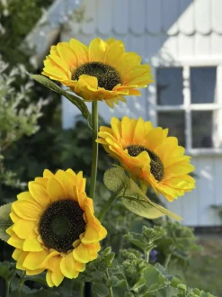 VIAMAJA Solsikke med solceller Hot