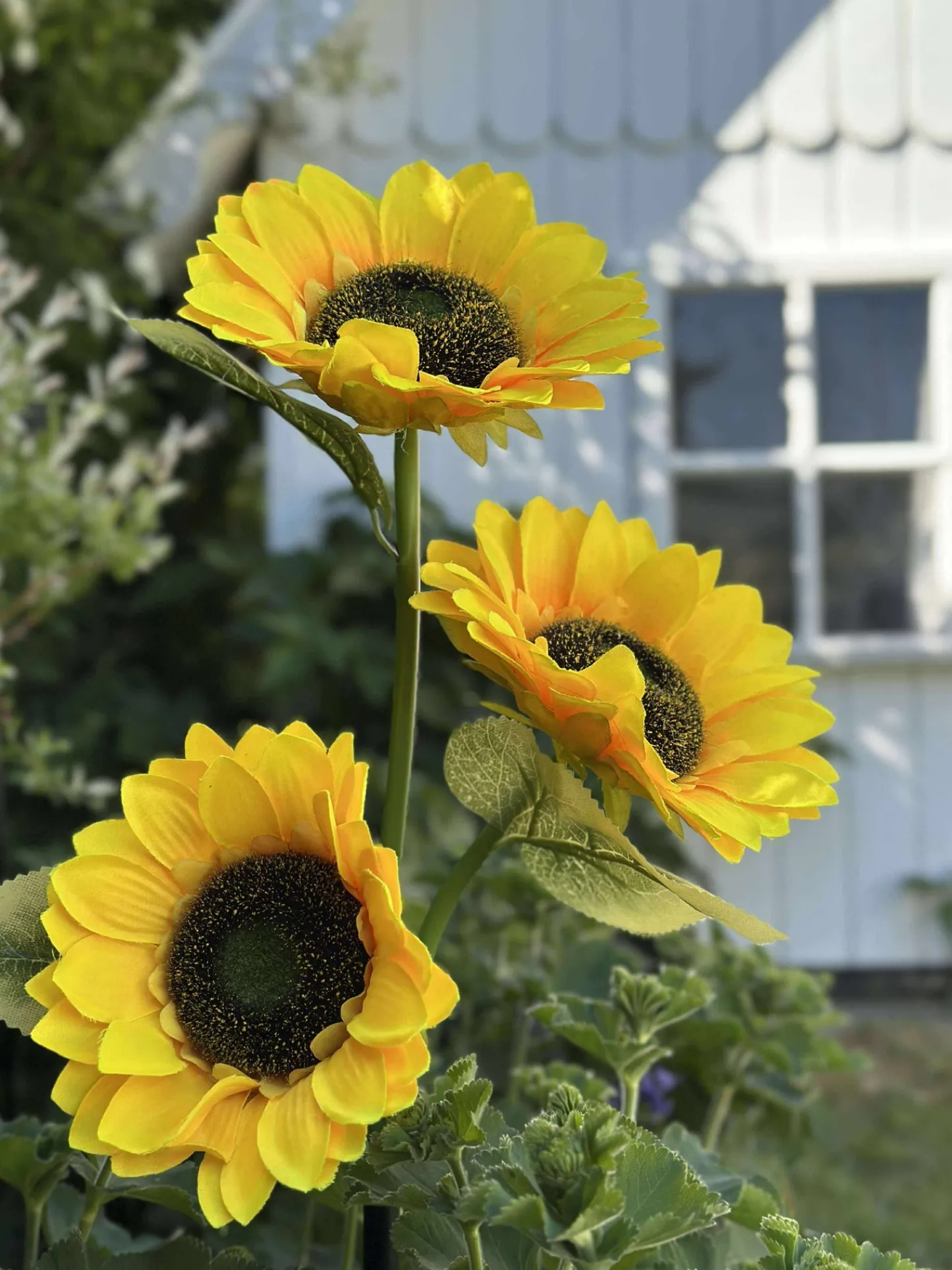 VIAMAJA Solsikke med solceller Hot