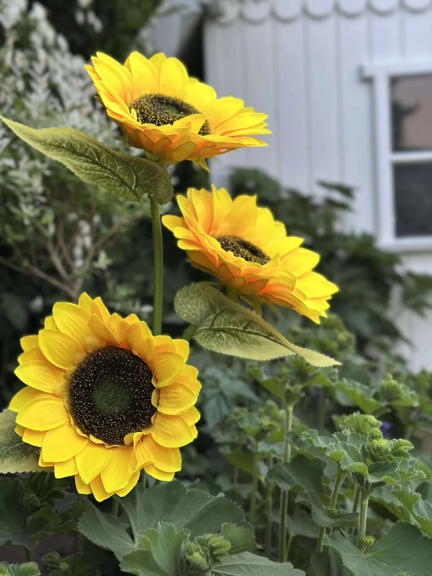 VIAMAJA Solsikke med solceller Hot
