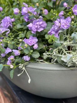 VIAMAJA Spejlbassin / Skål dia 40cm - Recycling Grøn Hot