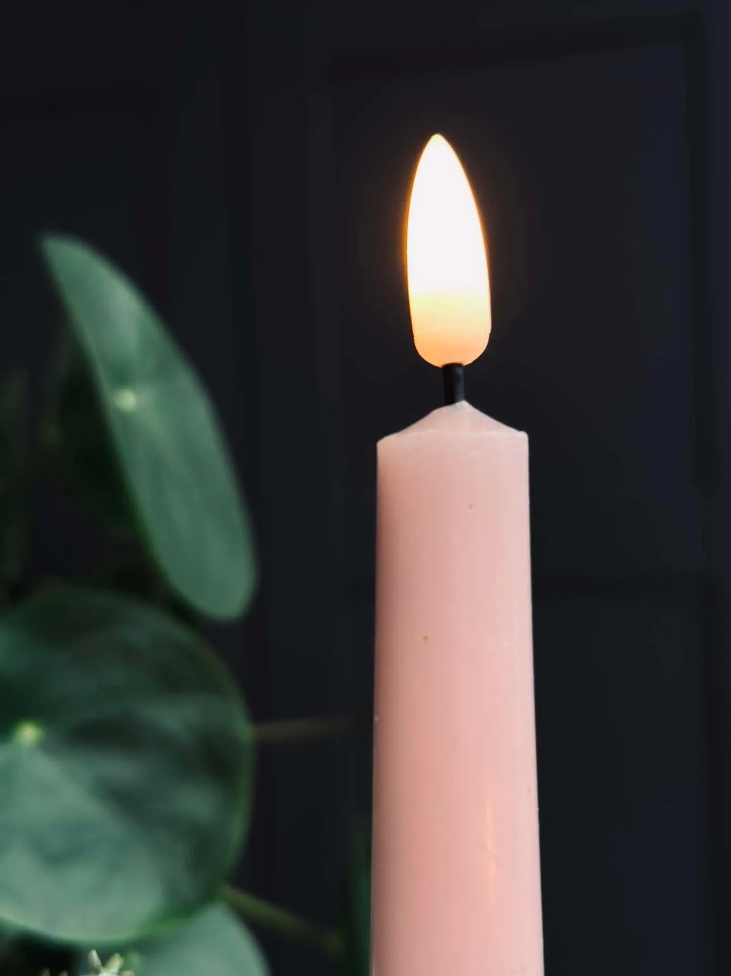 VIAMAJA Stagelys / Sæt med 2 stk og fjernbetjening – Rosa 24 cm Hot