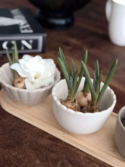 VIAMAJA Tapas - 3 skåle og fad Best