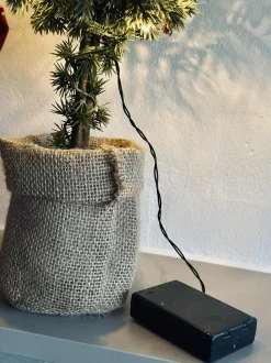 VIAMAJA Træ med Lyskæde - 36cm. Outlet