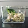 VIAMAJA Transparent kasse til køleskab Clearance