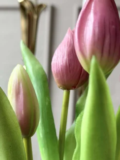 VIAMAJA Tulipan i potte - Mørk Rosa Sale