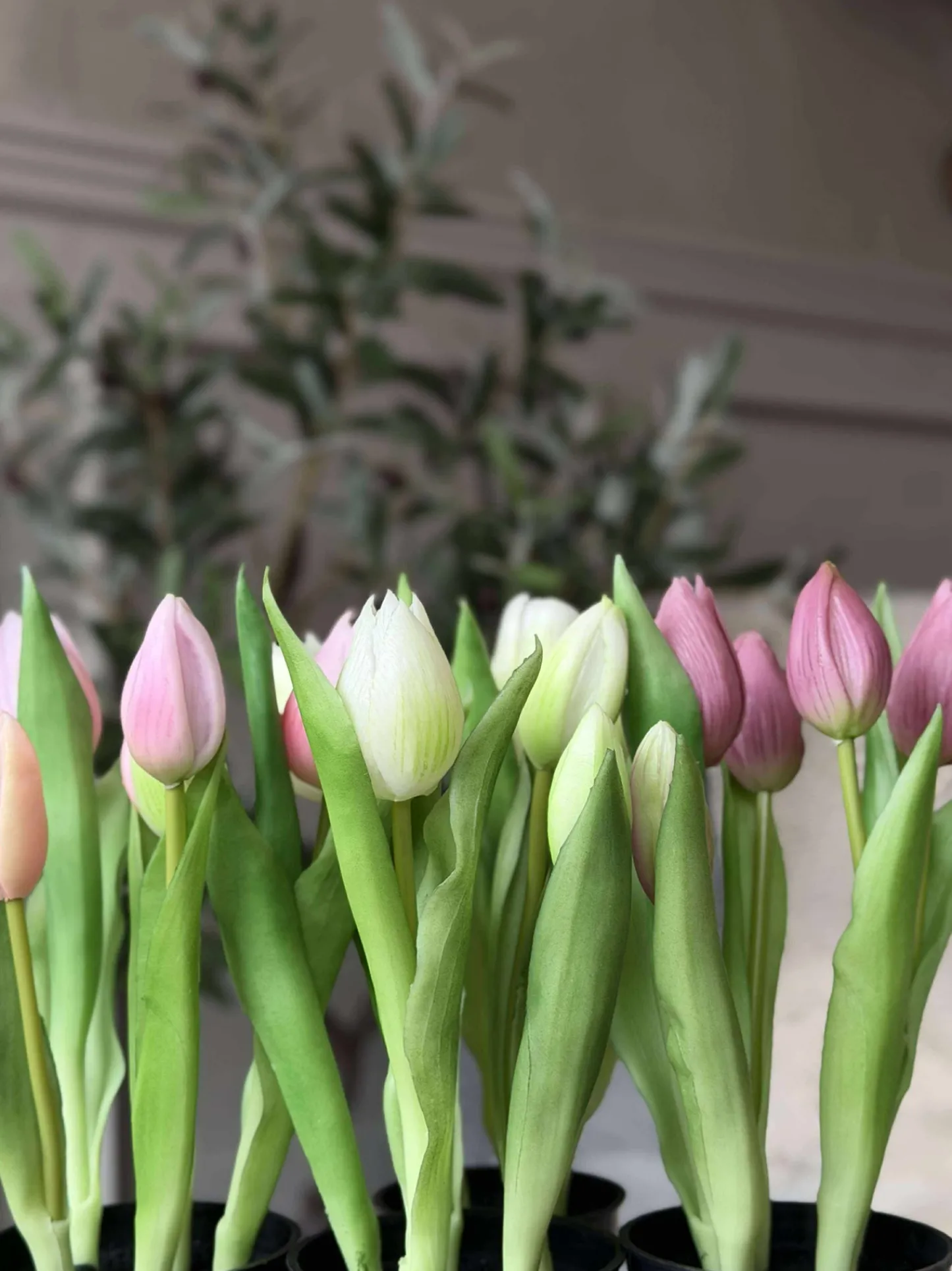 VIAMAJA Tulipan i potte - Mørk Rosa Sale