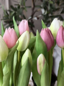 VIAMAJA Tulipan i potte - Mørk Rosa Sale