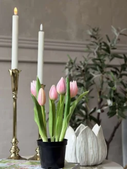 VIAMAJA Tulipan i potte - Rosa Outlet