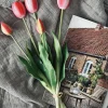 VIAMAJA Tulipaner – Flere farver New