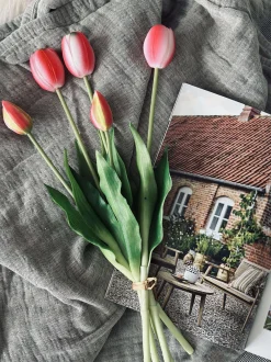 VIAMAJA Tulipaner – Flere farver New