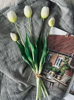 VIAMAJA Tulipaner – Flere farver New